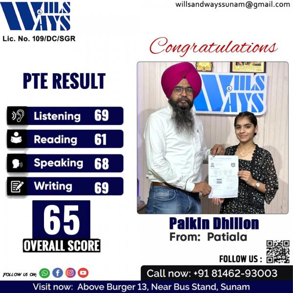 PALKIN DHILLON PTE